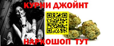 индика Усть-Джегута