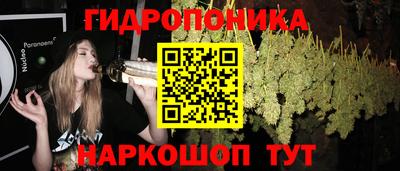 индика Усть-Джегута