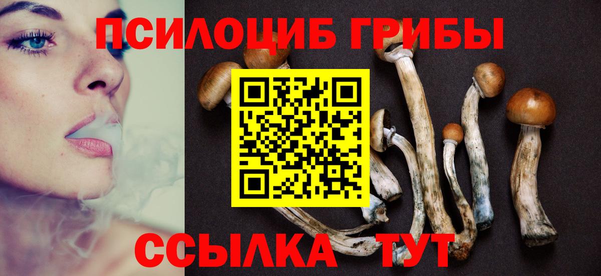 купить наркотик  Галлюциногенные грибы GOLDEN TEACHER  Вход с VPN  Белореченск 